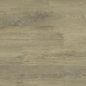 Must-Have Design 40+ Epic D228-0014 - Dryback